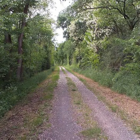 Chateau De Chanze Дом отдыха *