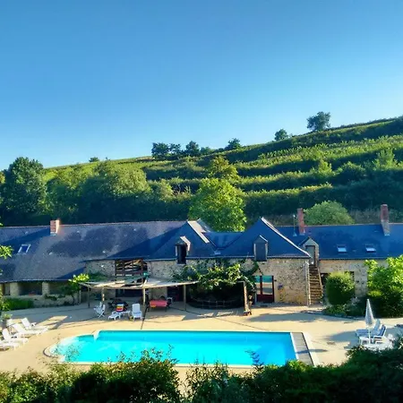 Chateau De Chanze Faye-d'Anjou