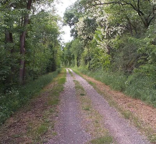 Chateau De Chanze Casa de Férias *