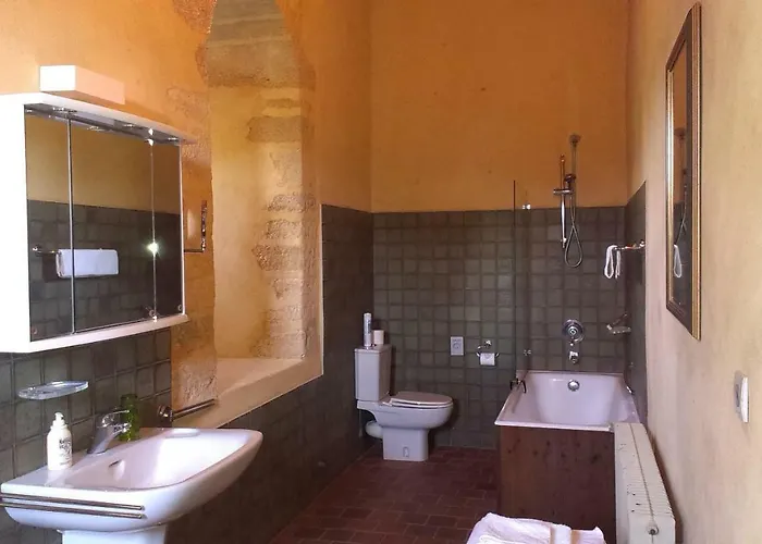 Chateau De Chanze * Faye-d'Anjou