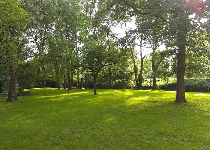 Chateau De Chanze Faye-d'Anjou