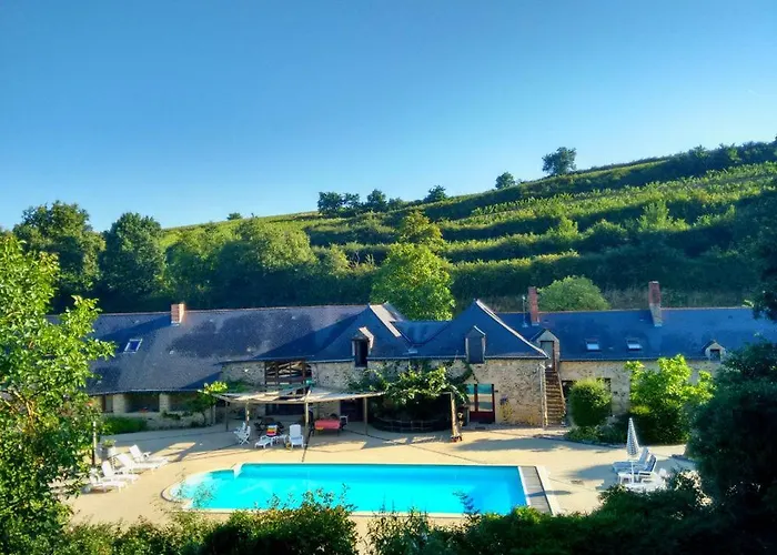 Chateau De Chanze Faye-d'Anjou